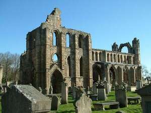 Image 33